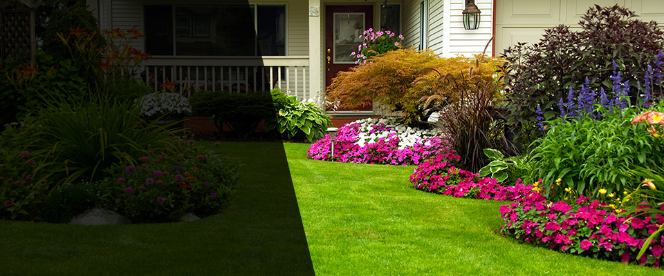 Aurora Landscapers